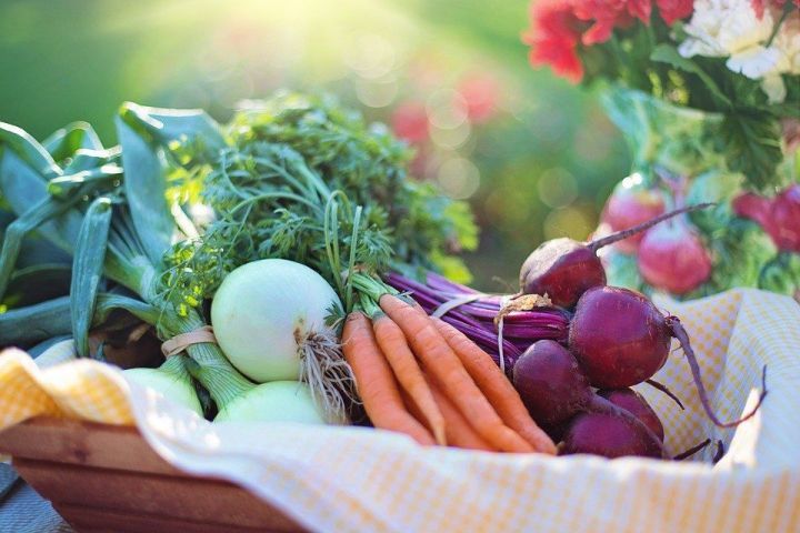 Бавлинцам на заметку: благоприятные дни для уборки овощей в сентябре
