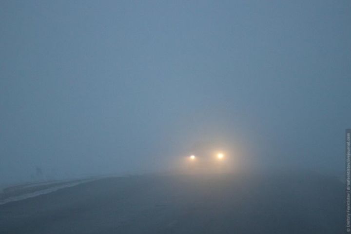 Синоптики предупреждают о тумане в ночь на 5 сентября