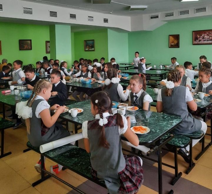 Бавлинские школы обеспечены горячим питанием