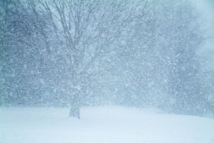 Ночью и днём 16 января на территории РТ  местами ожидаются: сильный снег, метель, снежные заносы