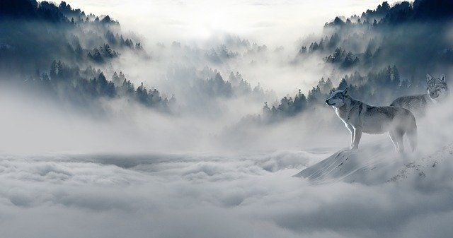 18 января на территории Республики Татарстан местами ожидается туман