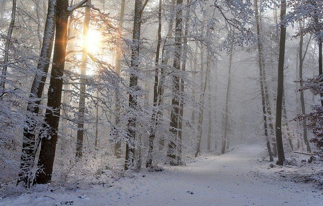 22 января в Бавлах: облачно с прояснениями, небольшой снег, на дорогах гололедица