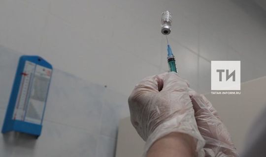 На&nbsp;портале госуслуг Татарстана появилась возможность записаться на&nbsp;прививку от Covid-19