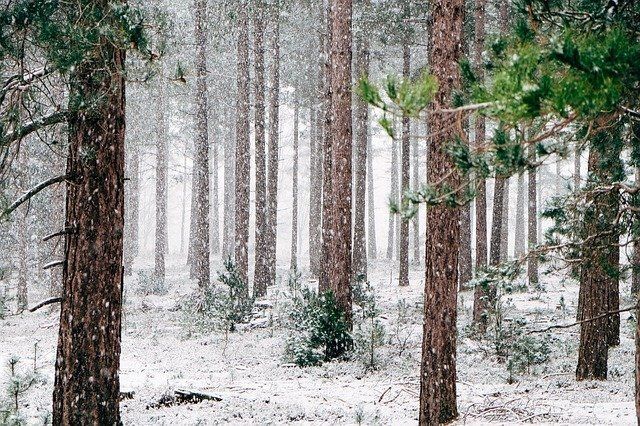 Синоптики РТ предупреждают о сильном снегопаде и метели 10 января