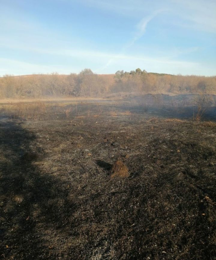 В Бавлинском районе произошло горение сухой травы