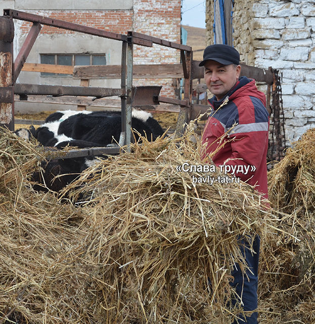 Фермер из Исергапово: «Эта работа мне по душе»