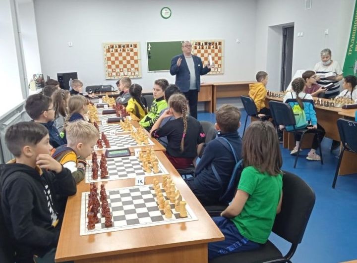 Бавлинские шахматисты каникулы проводят с пользой