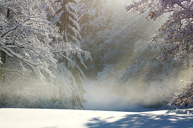 Мокрый снег, туман и гололедица - прогноз погоды на 30 ноября