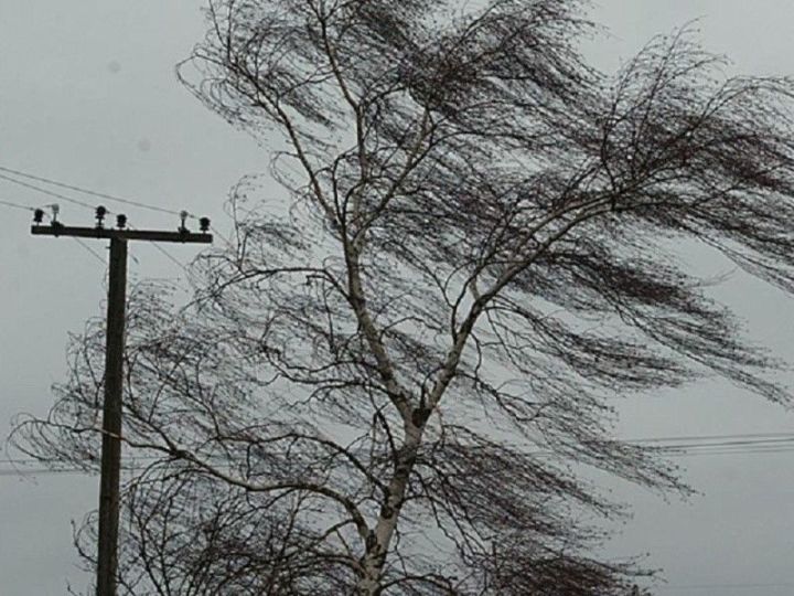 МЧС предупреждает о порывистом ветре и гололеде в Татарстане