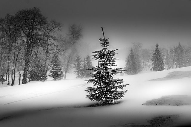 Cнег, туман и гололедица - прогноз на 22 декабря