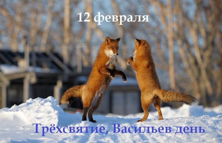 12 февраля – Трёхсвятие, Васильев день