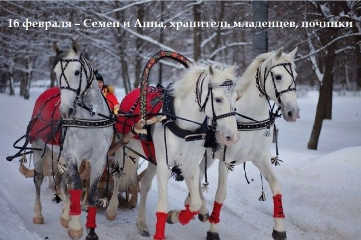 Народные приметы на 16 февраля – Семен и Анна, хранитель младенцев, починки