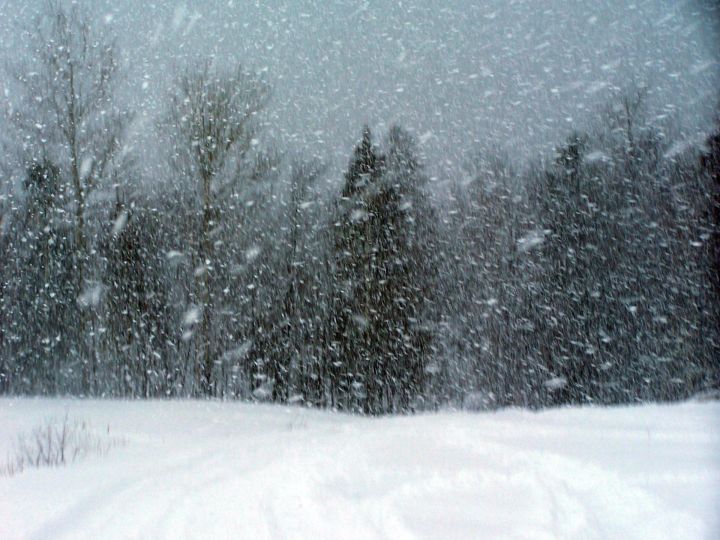 26 февраля в Бавлах: небольшой снег, днем местами, в отдельных районах метель