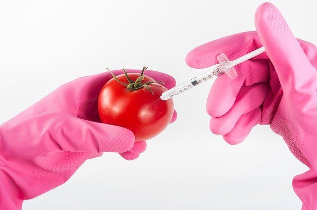 Почему надпись «Не содержит ГМО» на продуктах – это маркетинговая уловка?
