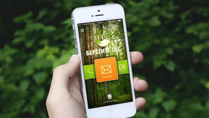 Татарстанцы могут сообщить о происшествиях в лесу через мобильное приложение «Берегите лес»
