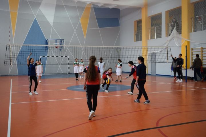 В спортшколе №2 прошёл отбор участниц районной волейбольной команды
