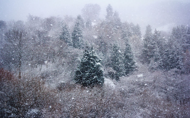7 февраля в Бавлах: небольшой снег, местами метель