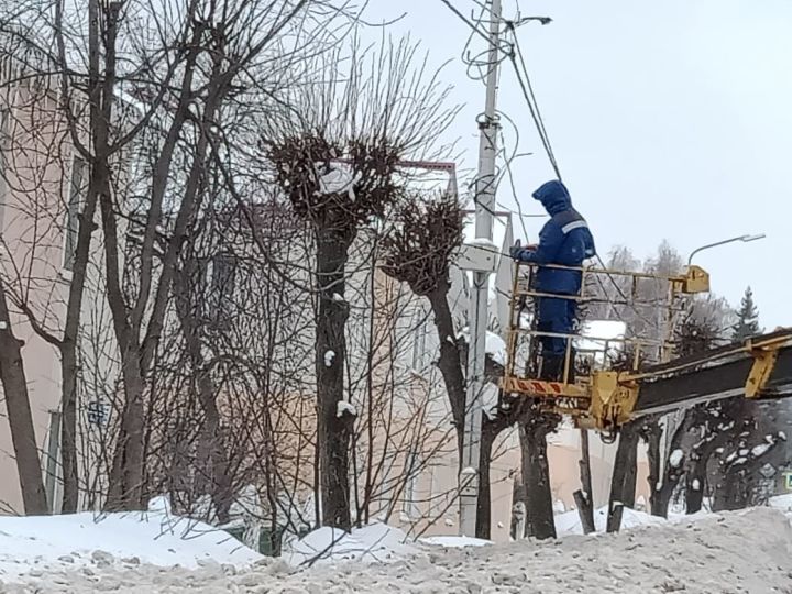 В Бавлах проходит окультуривание деревьев