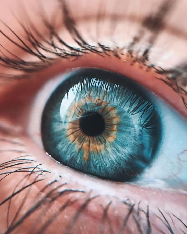 30 интересных фактов о глазах