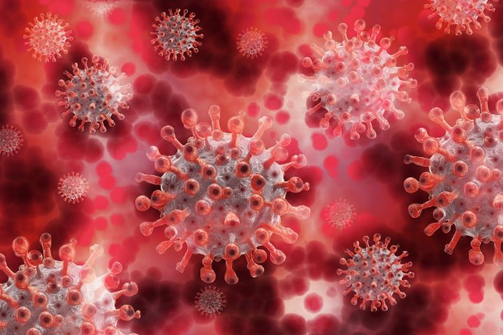 Татарстанда тагын 40 кеше коронавирус инфекциясе йоктырган