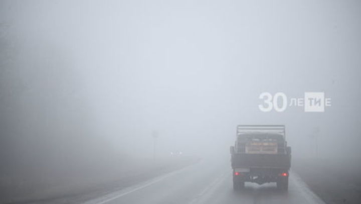 Туман и потепление до 16 градусов ожидают бавлинцев в понедельник, 12 апреля