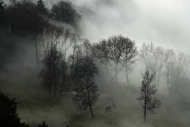 Ночью и утром 23 апреля на территории РТ ожидается туман