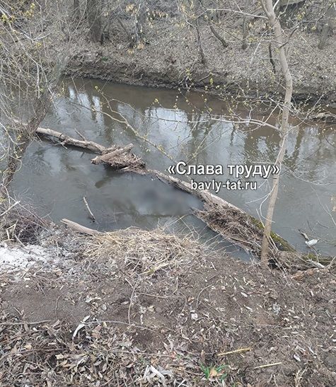 Названа предварительная причина смерти мужчины, найденного в реке Кандыз