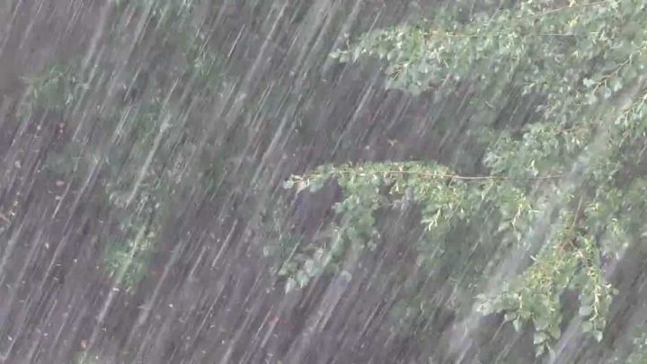 Погода в Бавлах 22 мая: ливень, гроза, град