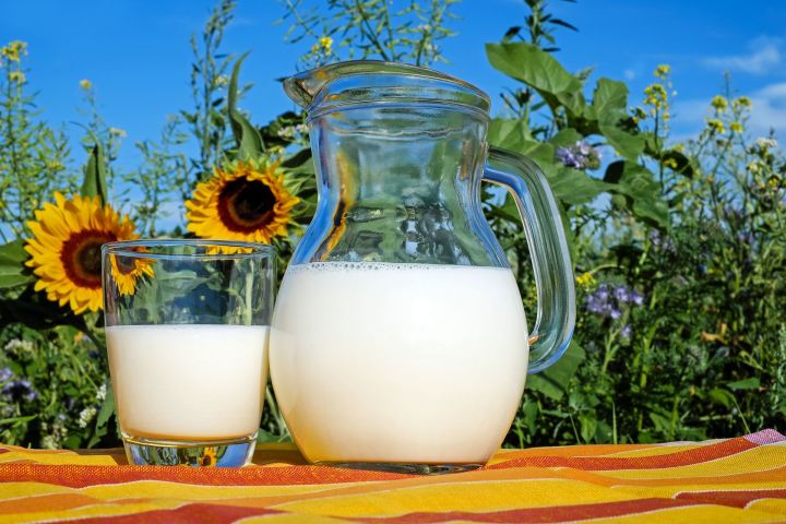 Можно ли пить кефир или молоко перед сном без вреда для здоровья?