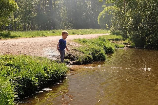Спасатели Татарстана: В жаркие дни родителям необходимо следить за детьми у воды