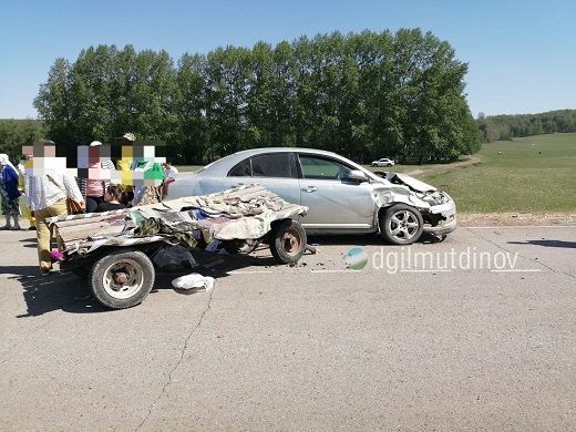В Башкирии автомобиль наехал на лошадиную повозку с людьми