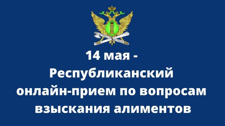 Бавлинцы могут задать вопросы по алиментам руководству судебных приставов по РТ