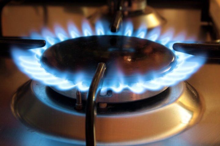 В "Газпроме" пообещали бесплатно провести газ к небольшим частным домам