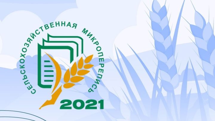 В Бавлинском районе во время Всероссийской сельскохозяйственной микропереписи будут работать 12 счетных участков