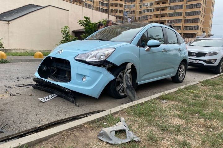 Собаки разорвали автомобиль россиянки из-за кошки под машиной (ВИДЕО)