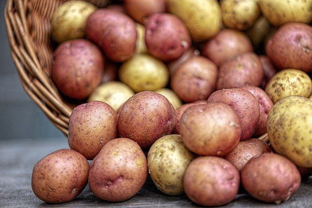 Диетолог перечислила самые вредные блюда из картофеля