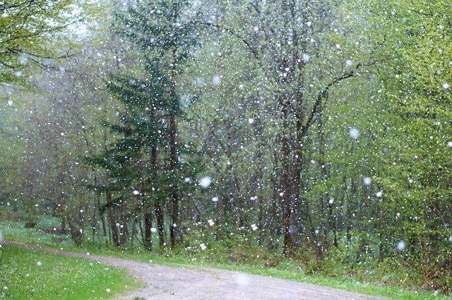В Башкирии синоптики прогнозируют снег на следующей неделе