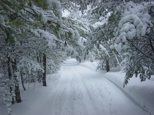Снег, метель и гололедица - прогноз на 13 января