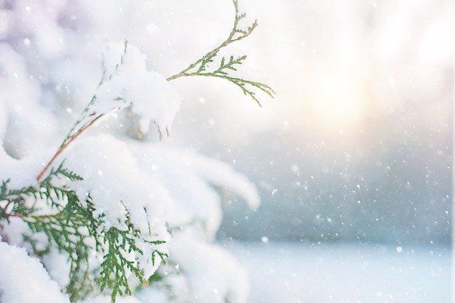 Синоптики прогнозируют снег и метель 19 января