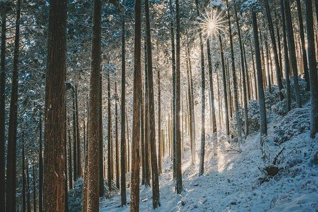 Снег, туман и гололедица - прогноз на 27 января