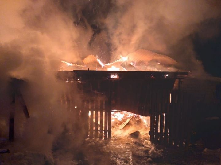 В Бавлах огнём уничтожена крыша сарая