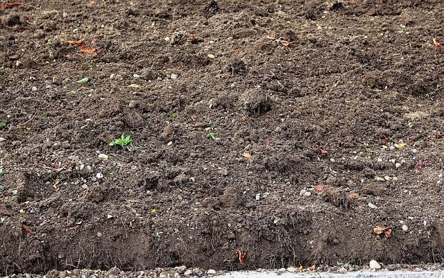 Как улучшить плодородность почвы без перегноя и навоза: хитрость продвинутых дачников