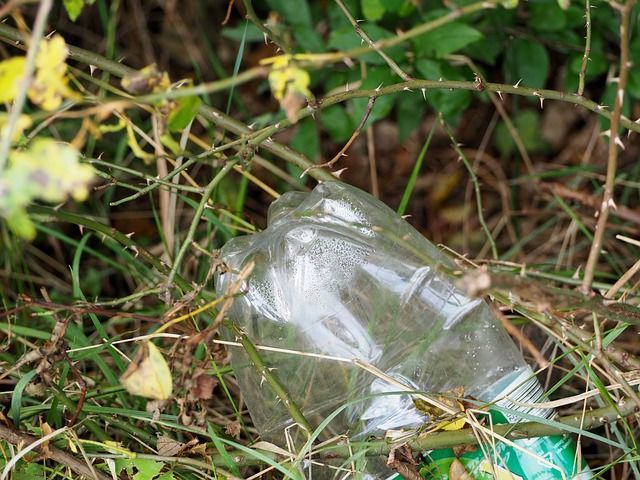 Зачем закапывать на грядке пластиковую бутылку: хитрость, о которой стоит узнать всем дачникам