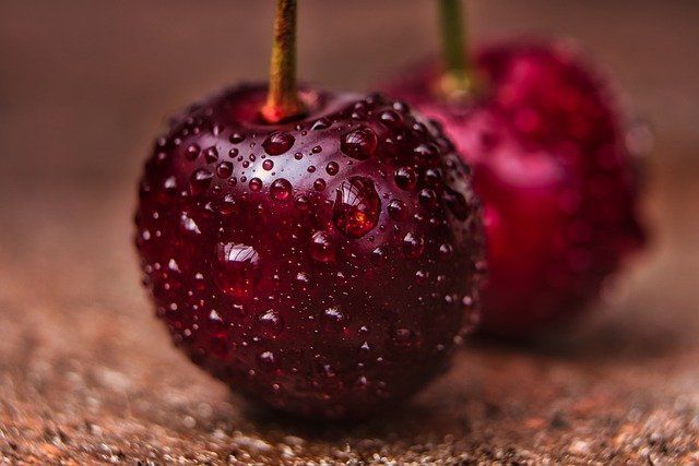 Как избавиться от поросли вишни в огороде: простой способ