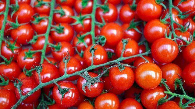 Что посадить возле томатов, чтобы подсластить плоды: дачная хитрость