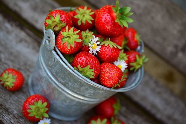 Опрыскайте этим раствором клубнику в мае: размером ягод будете удивлять соседей