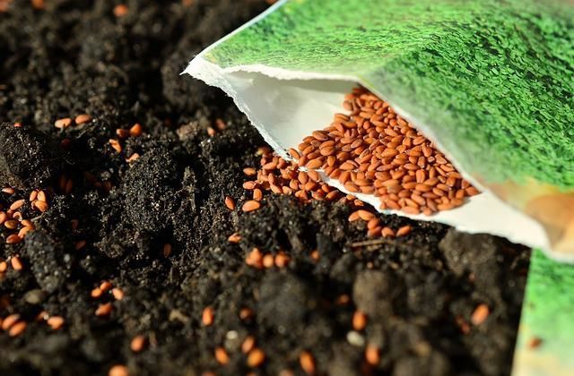 1 ложка копеечного удобрения даже песок превратит в плодородную почву: урожаем завалит с головы до ног