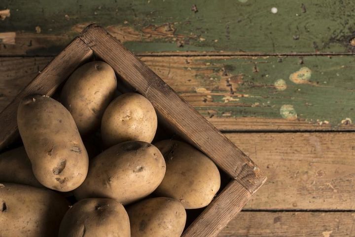 В РТ планируют увеличить площади для посевов картофеля и овощей