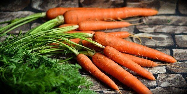 Что делать, чтобы морковь не уродилась рогатой и не трескалась: простая хитрость