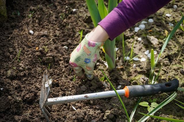 Как превратить тяжелый грунт в мягкую и легкую почву: советы начинающим огородникам